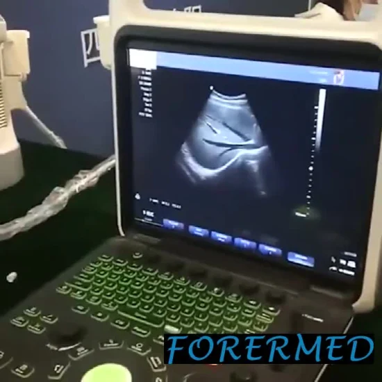 Scanner veterinário de ultrassom animal fetal portátil para abdômen e gravidez