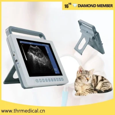 Instrumento de diagnóstico ultrassônico veterinário para pequenos animais com sonda microconvexa