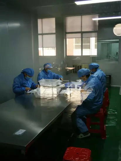 Tira de teste de gravidez de urina precoce para uso doméstico, fácil de usar